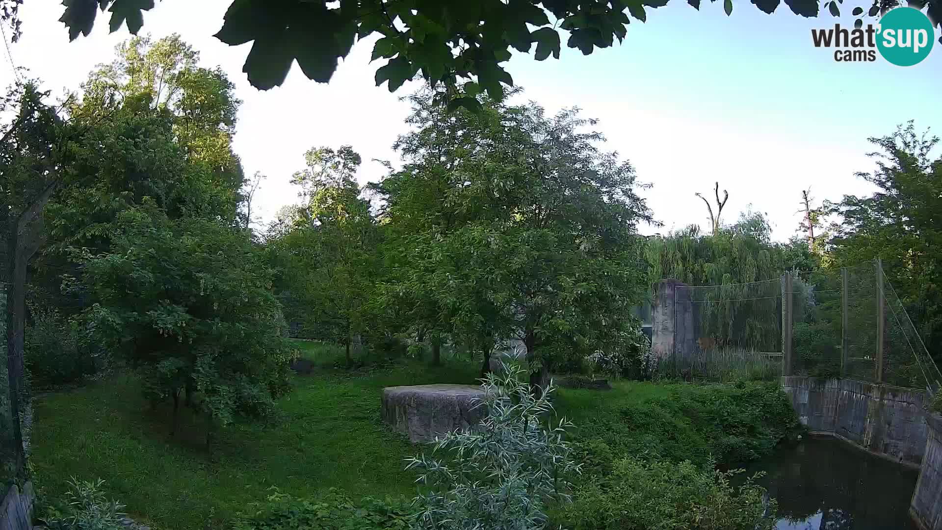 Zoo Zagreb – Lavovi