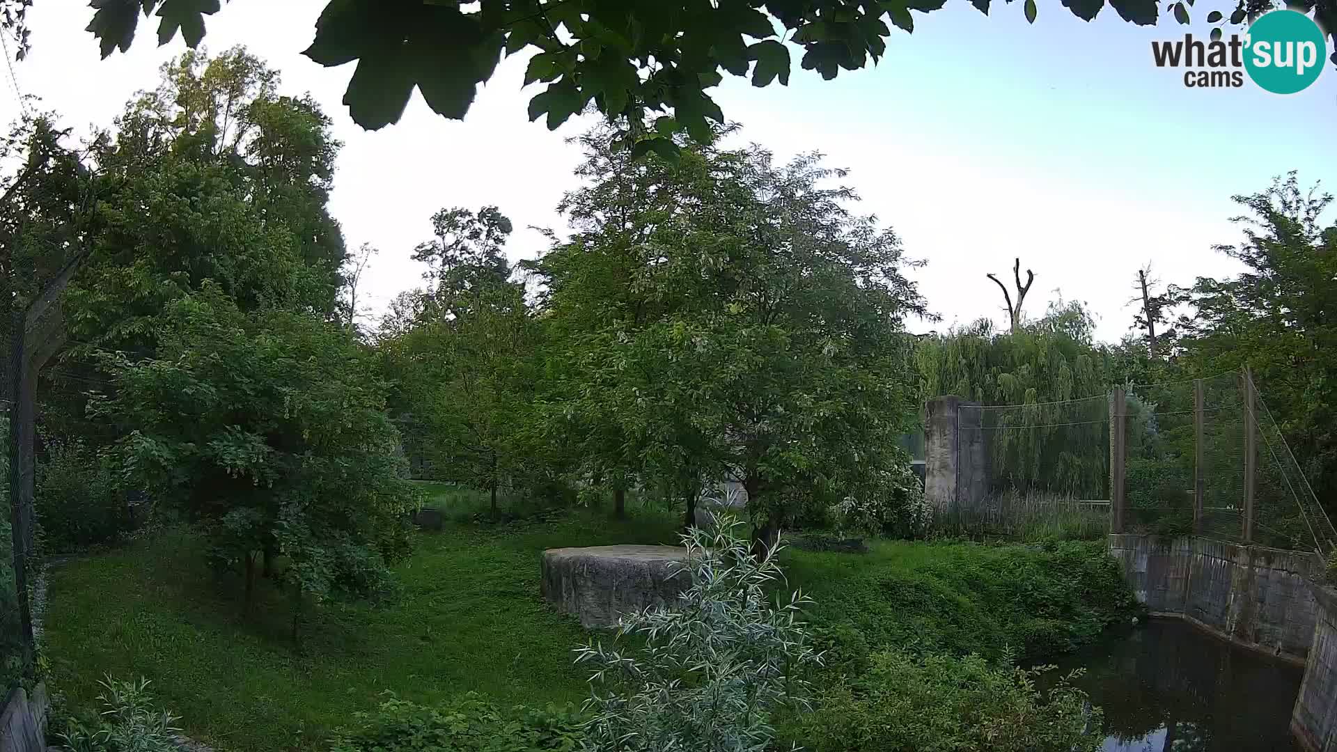 Zoo Zagreb – Leoni