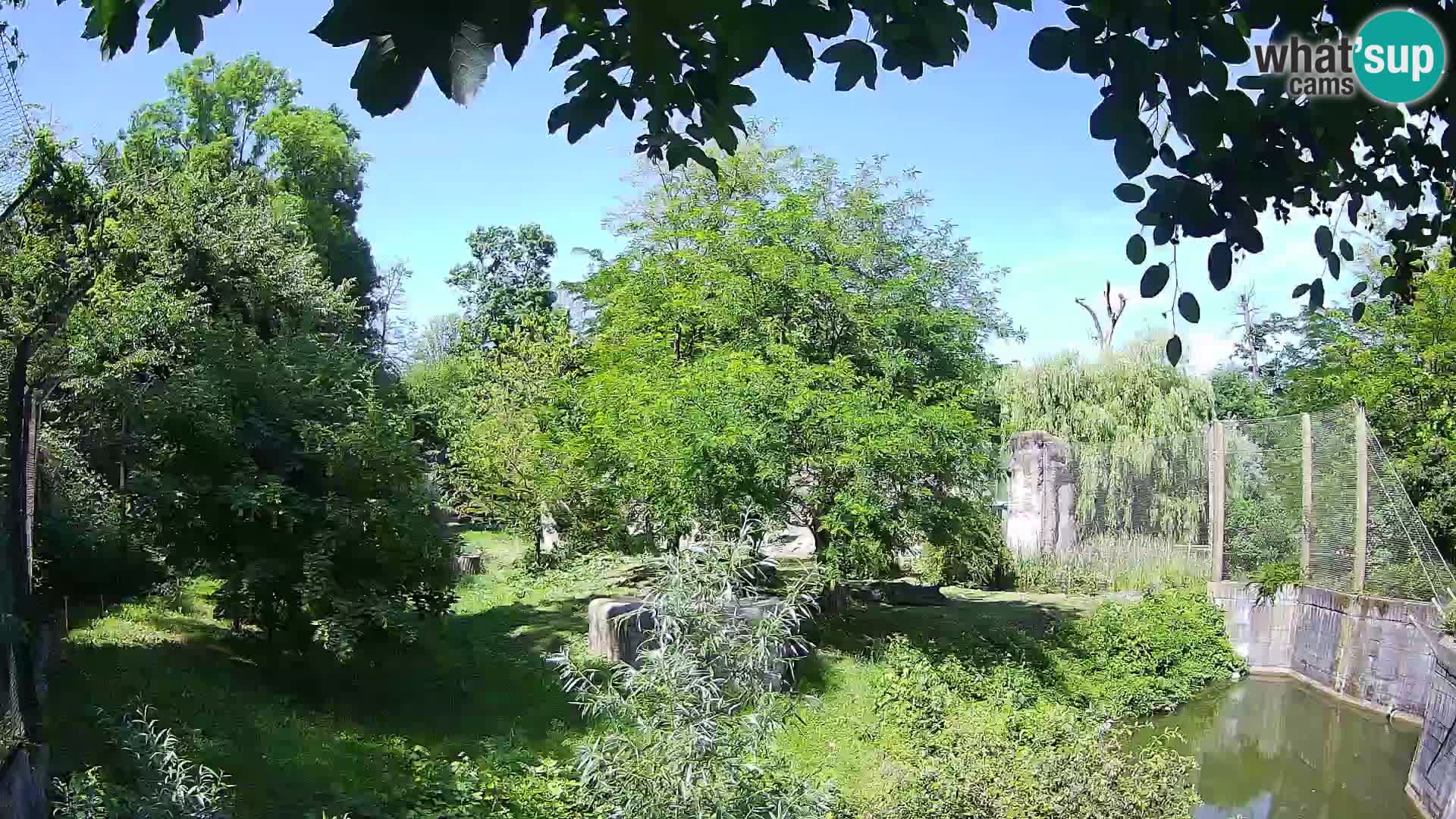 Zoo Zagreb – Leoni