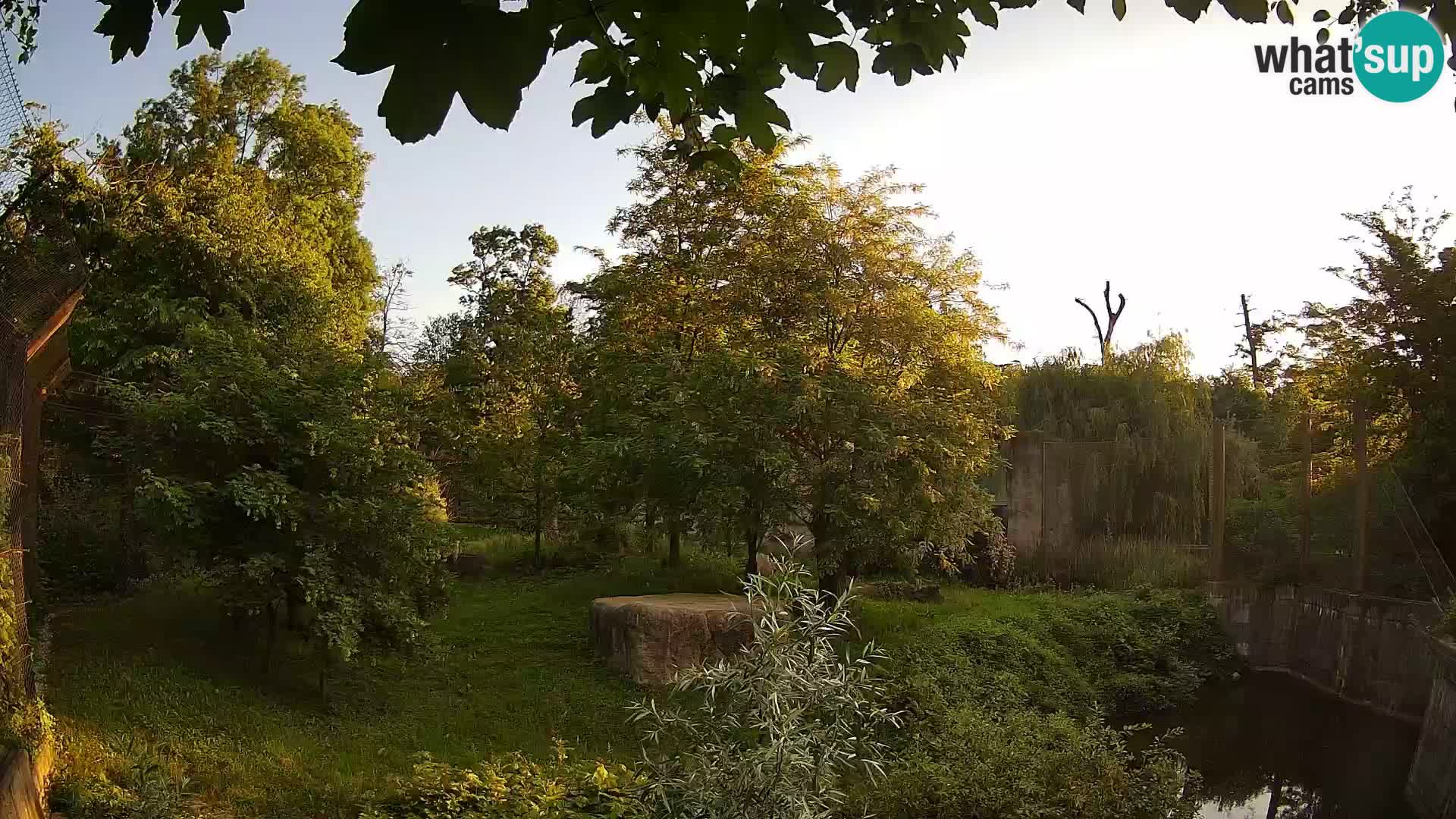 Zoo Zagreb – Leones