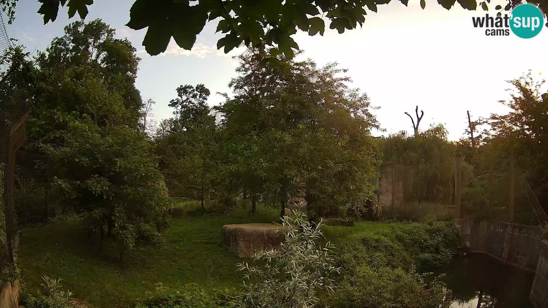 Zoo Zagreb – Leones
