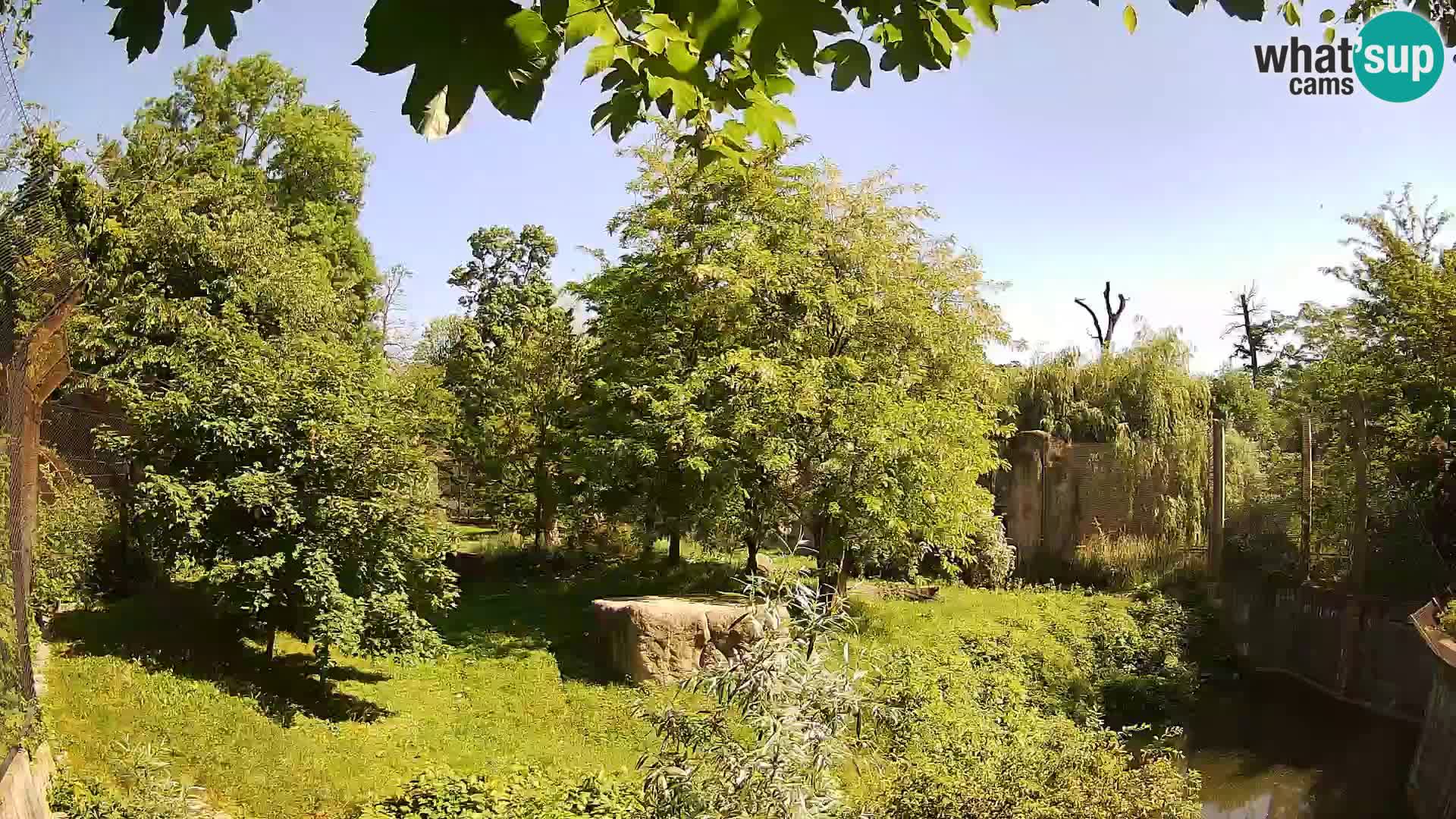 Zoo Zagreb – Leoni