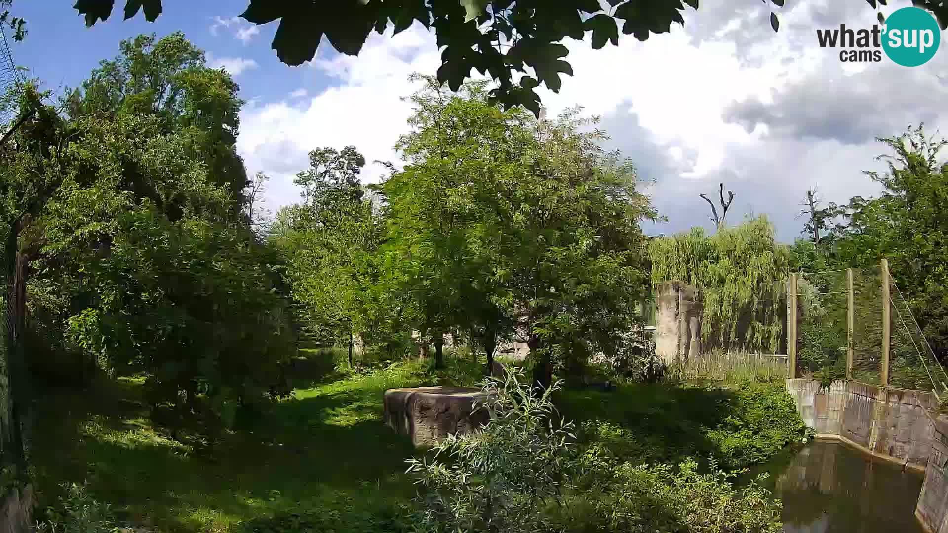 Zoo Zagreb – Leones
