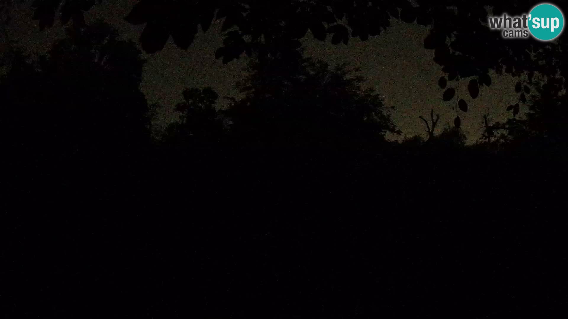 Zoo Zagreb – Leones
