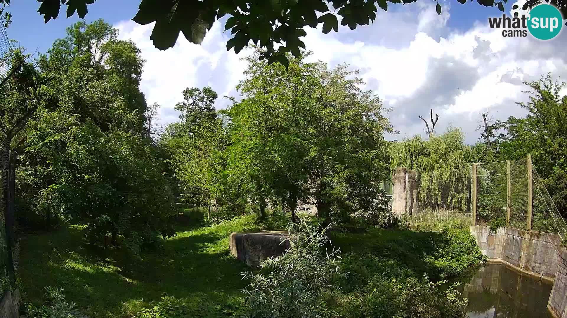 Spletna kamera Zoo Zagreb – Levi