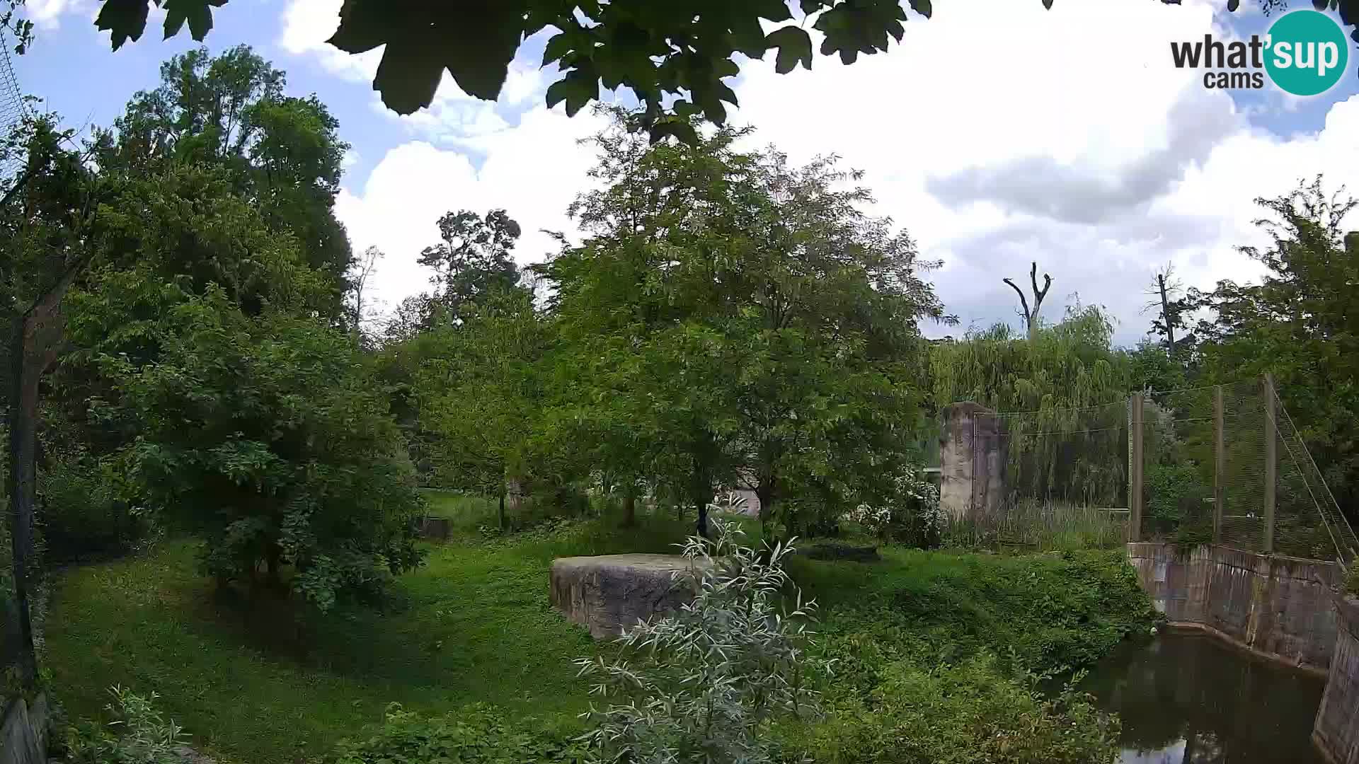 Zoo Zagreb – Löwen