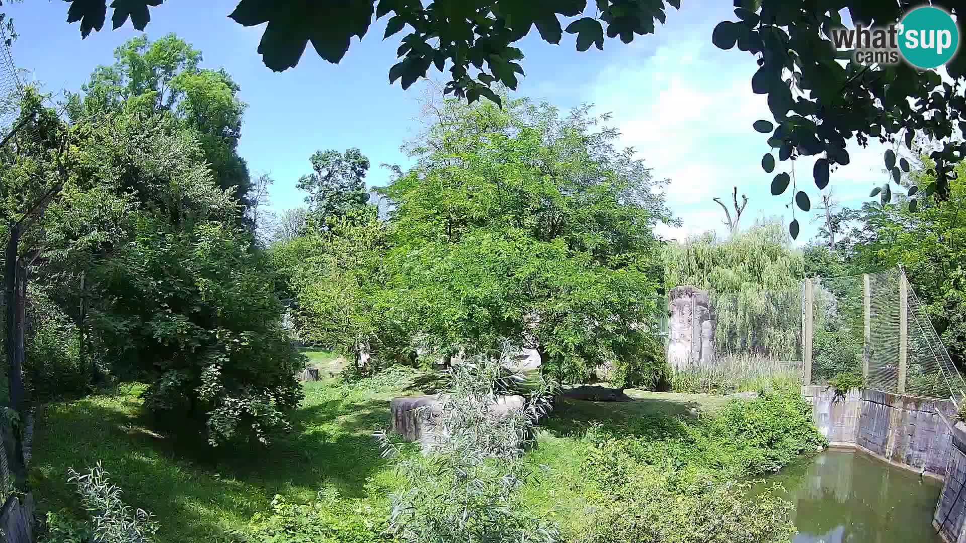 Zoo Zagreb – Leoni