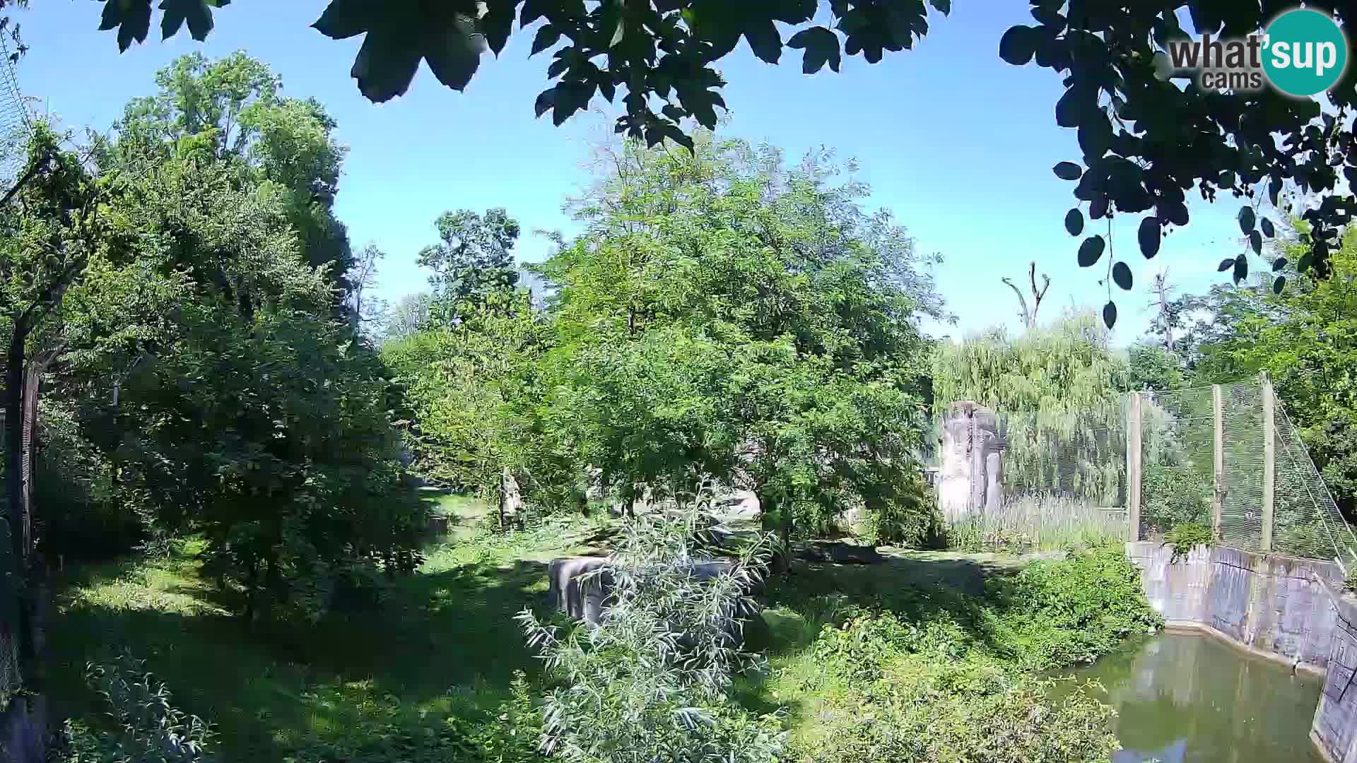 Zoo Zagreb – Leoni