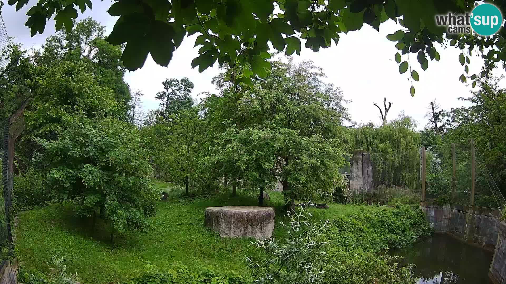 Zoo Zagreb – Leoni