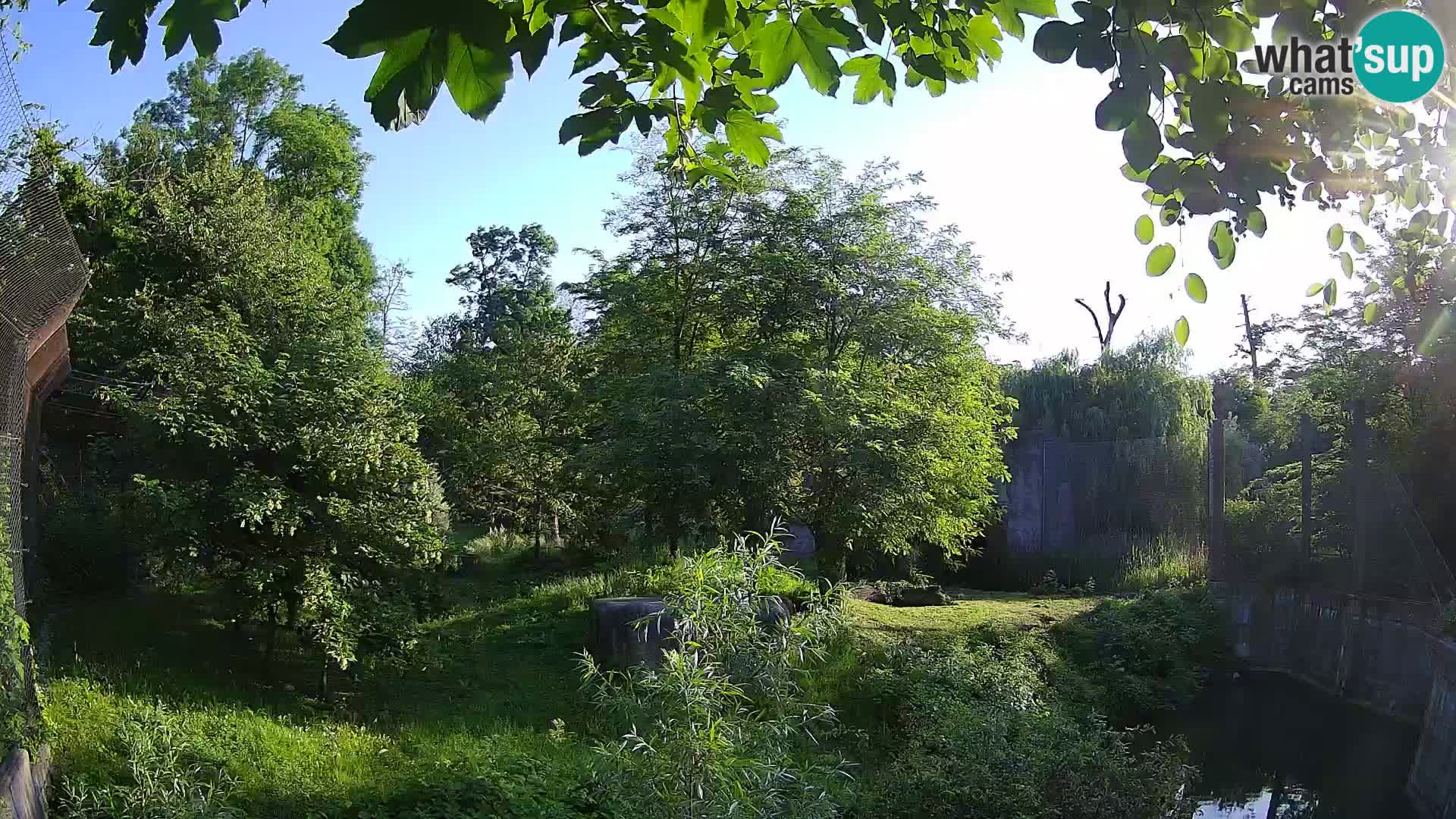 Zoo Zagreb – Leones