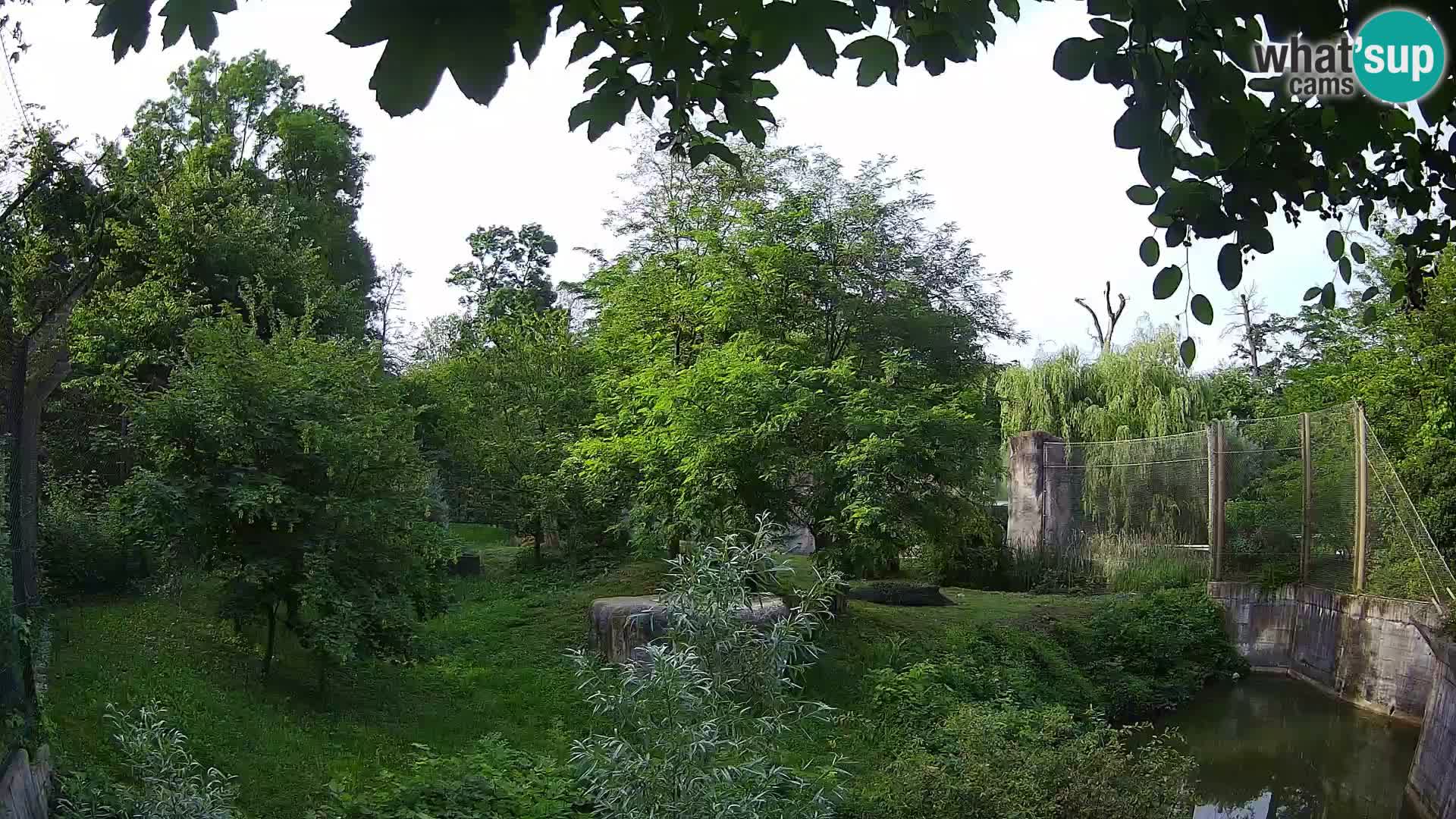 Zoo Zagreb – Leoni