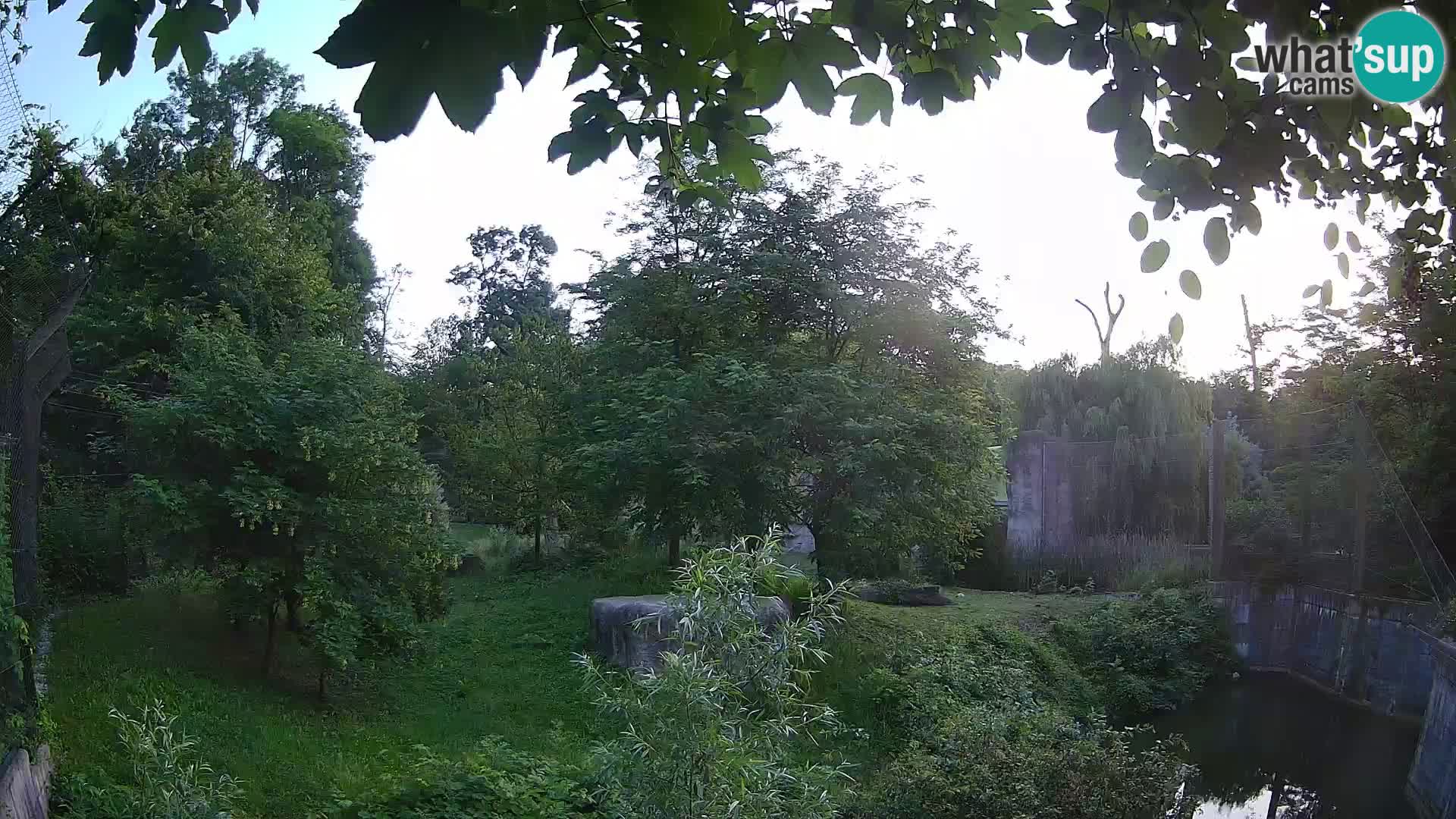 Zoo Zagreb – Löwen