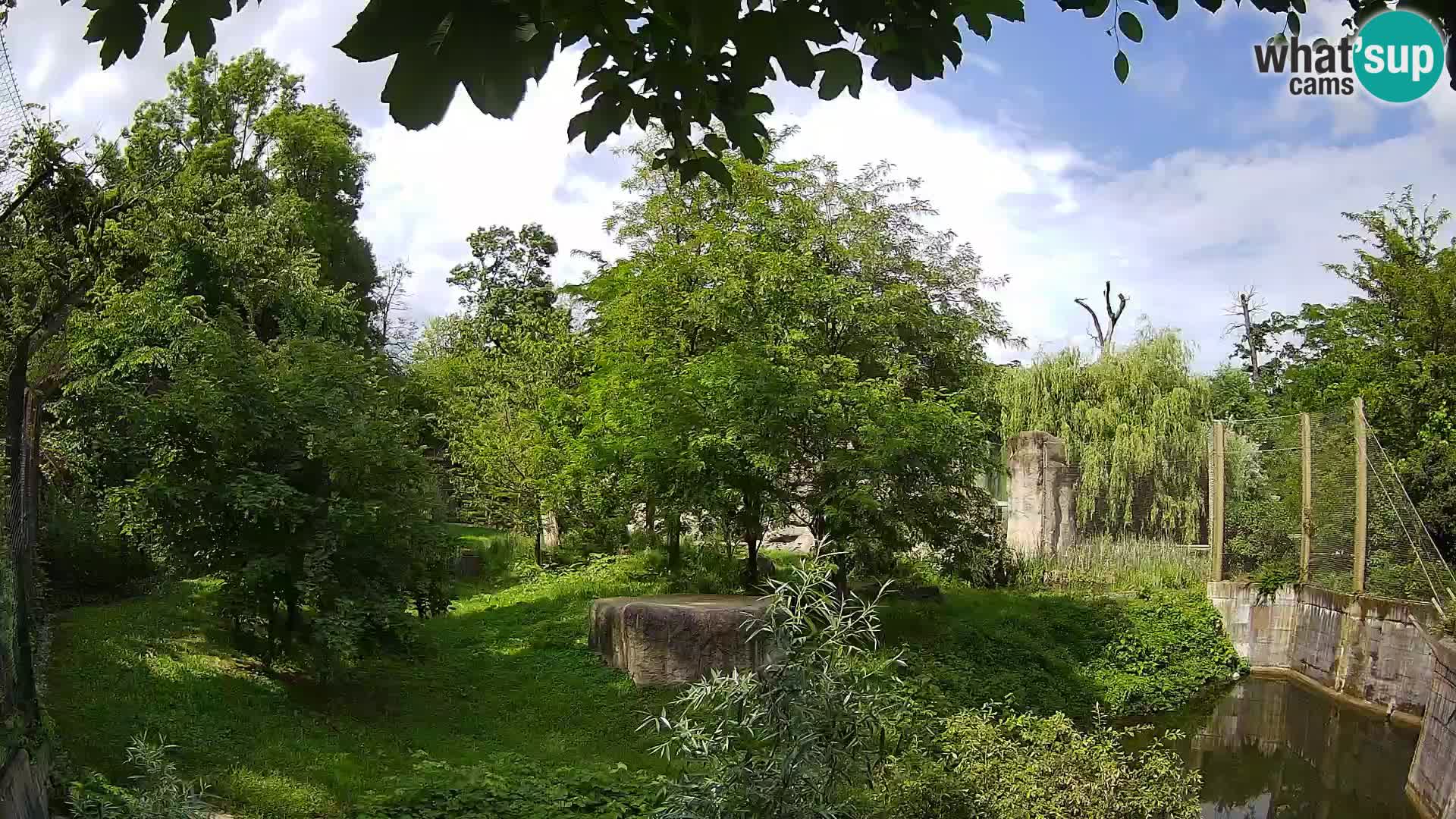 Zoo Zagreb – Leones