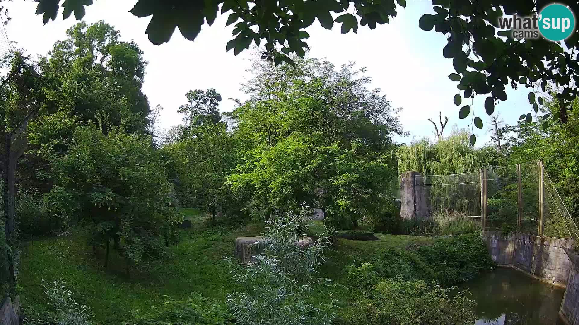 Zoo Zagreb – Leoni