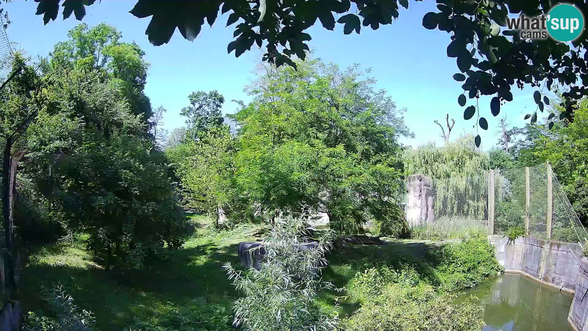 Zoo Zagreb – Löwen