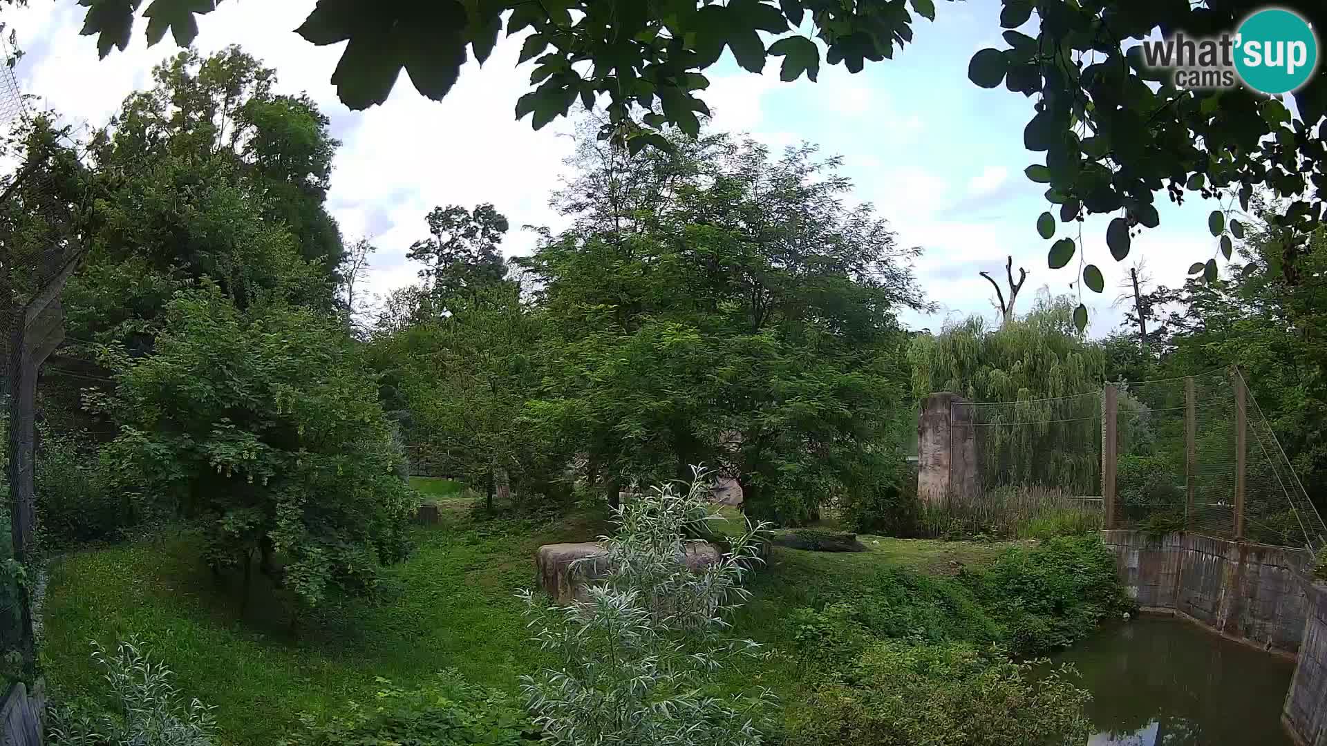 Spletna kamera Zoo Zagreb – Levi