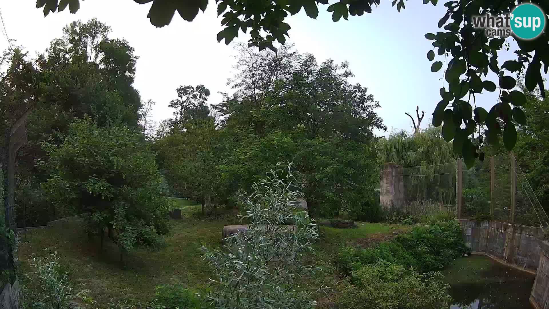 Zoo Zagreb – Löwen