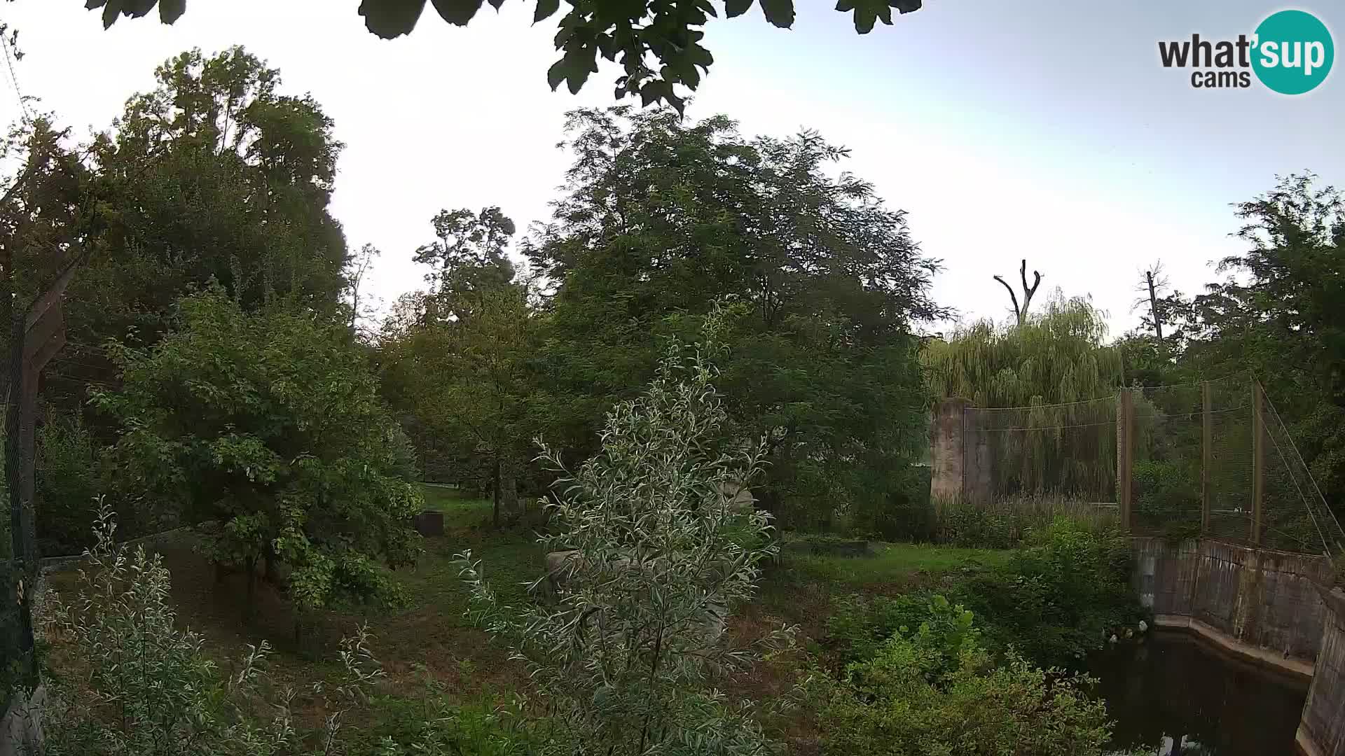 Zoo Zagreb – Lavovi