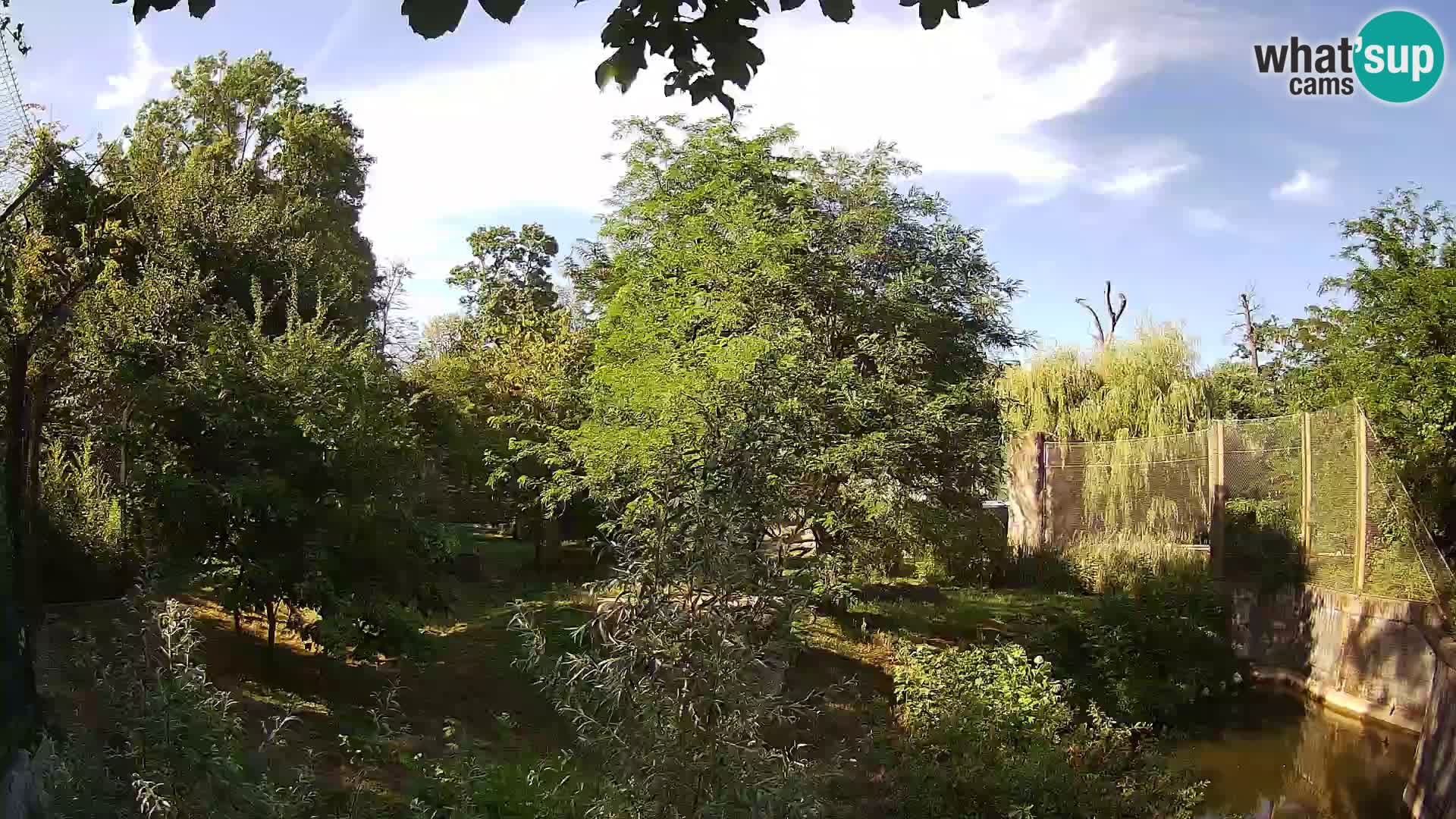 Zoo Zagreb – Löwen