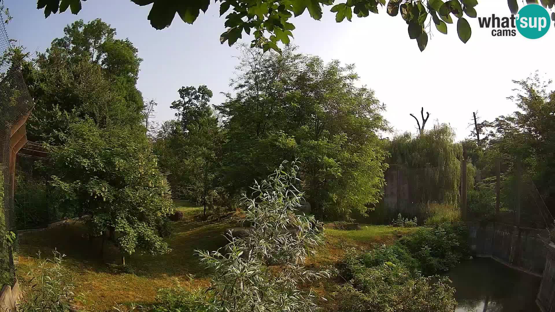 Zoo Zagreb – Leoni