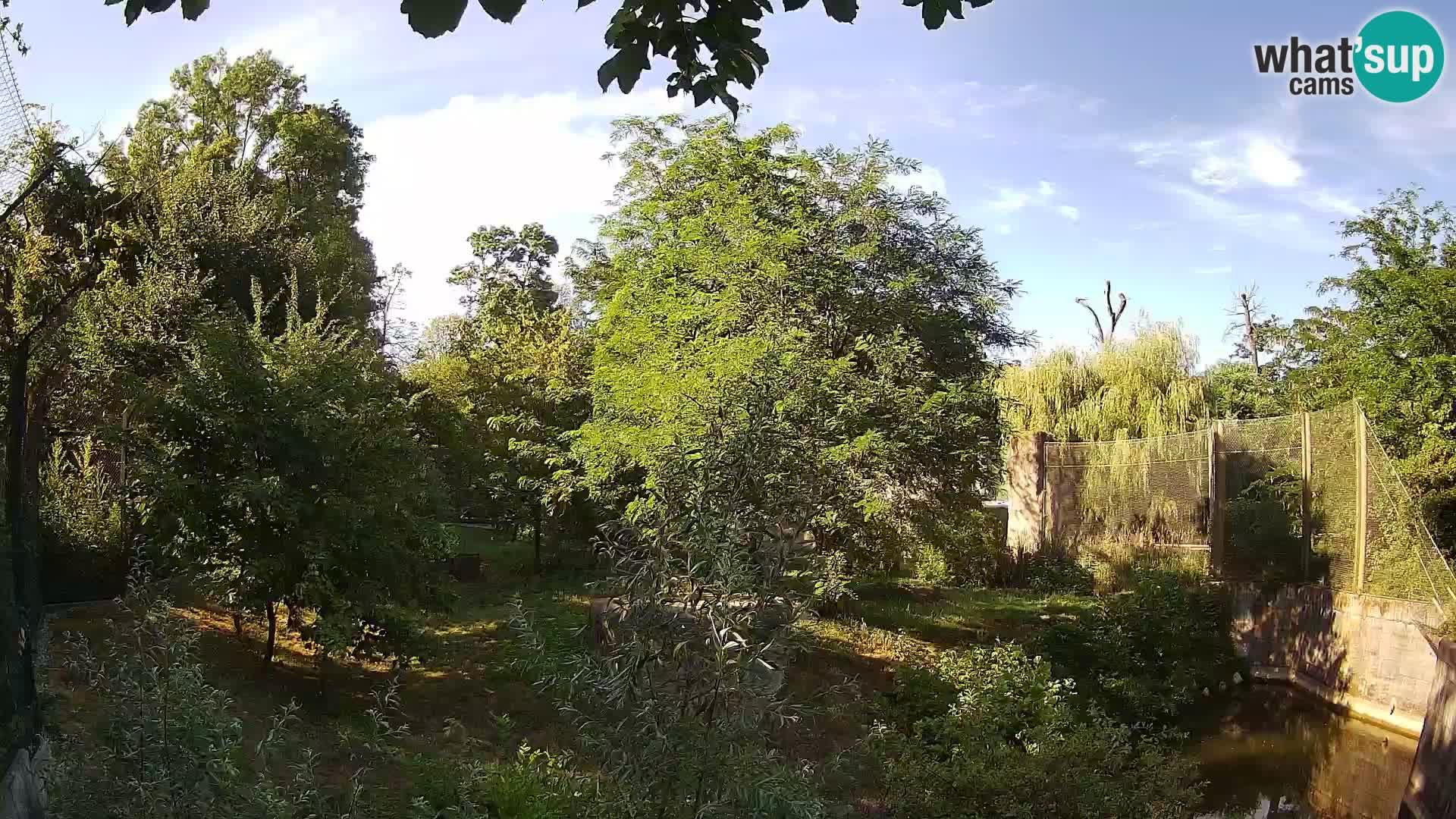 Zoo Zagreb – Löwen