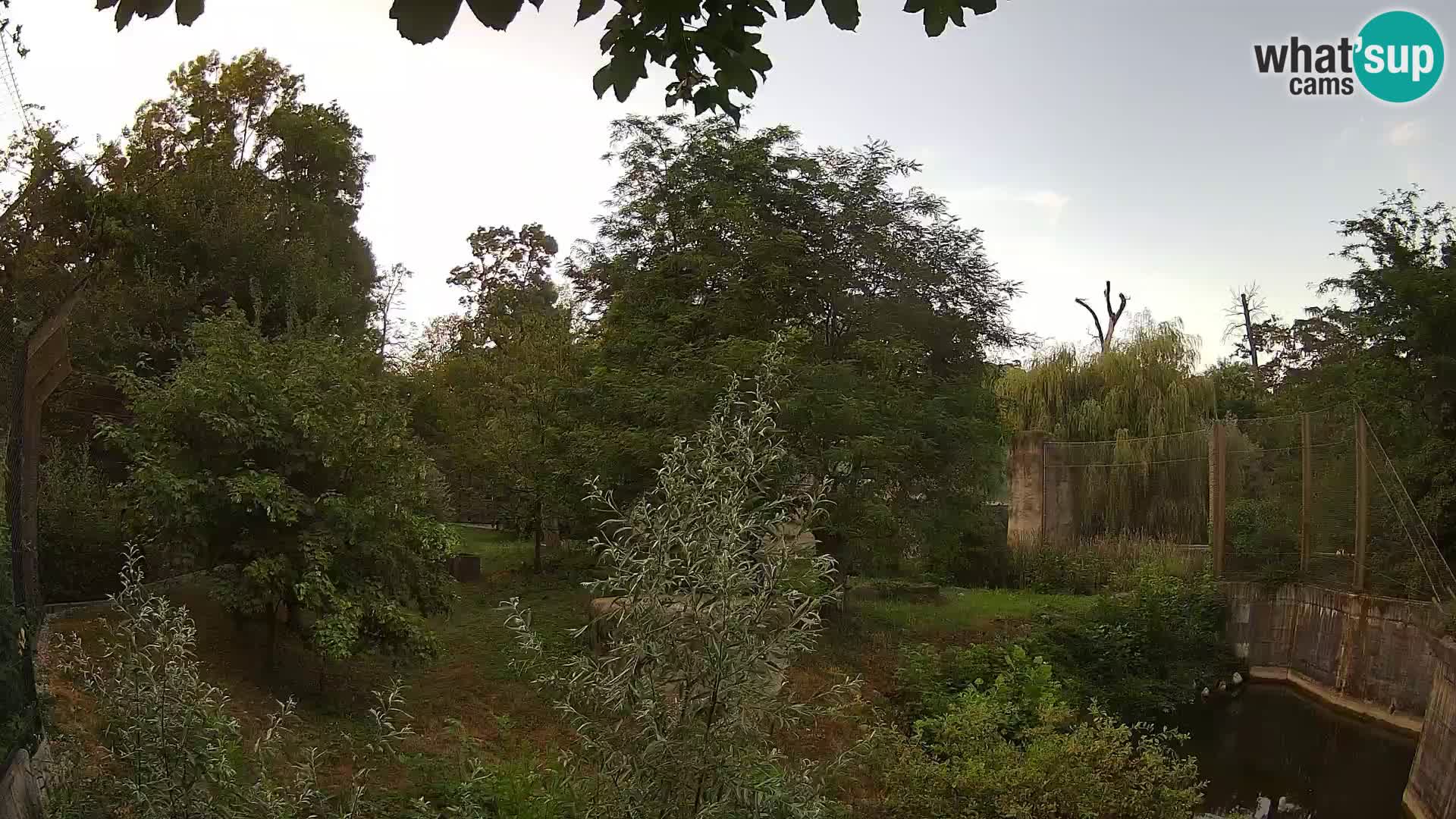 Zoo Zagreb – Leoni