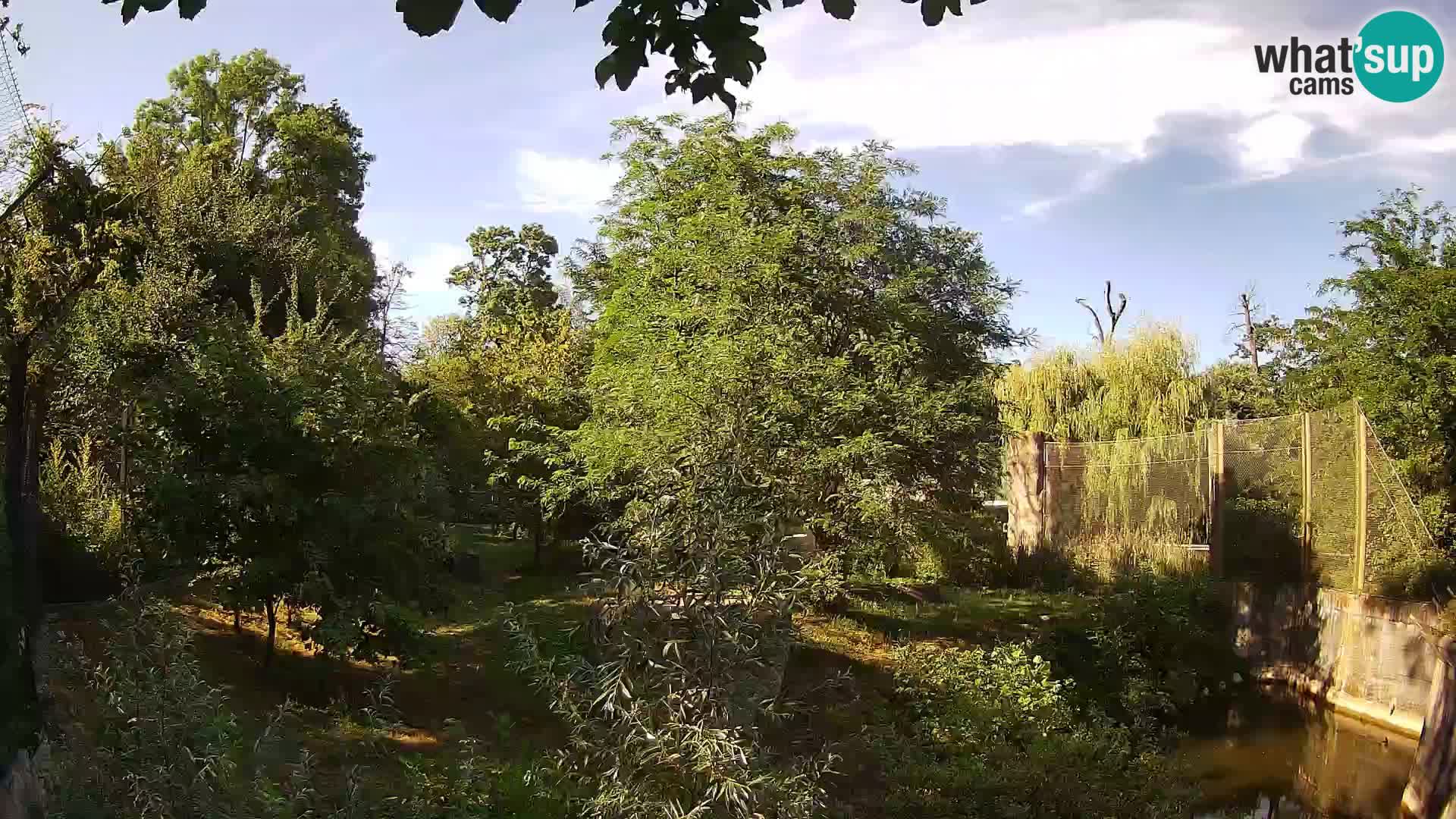 Zoo Zagreb – Leones