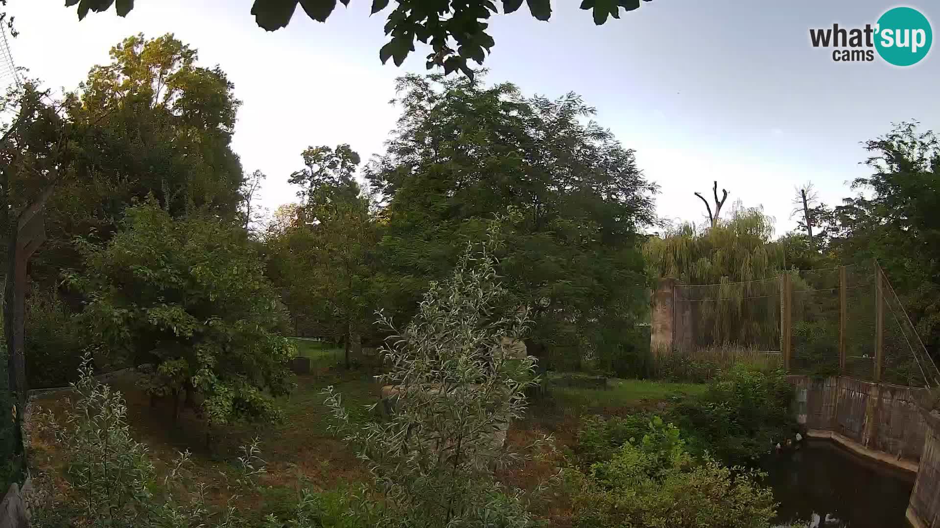 Zoo Zagreb – Leoni