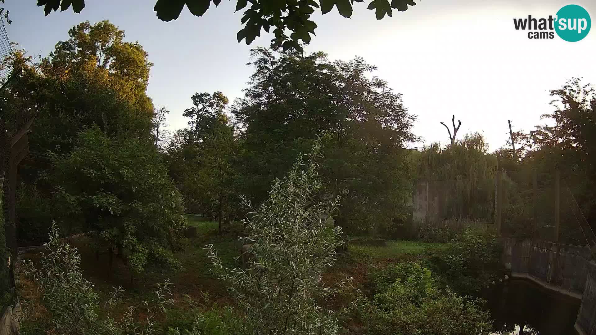Zoo Zagreb – Leoni