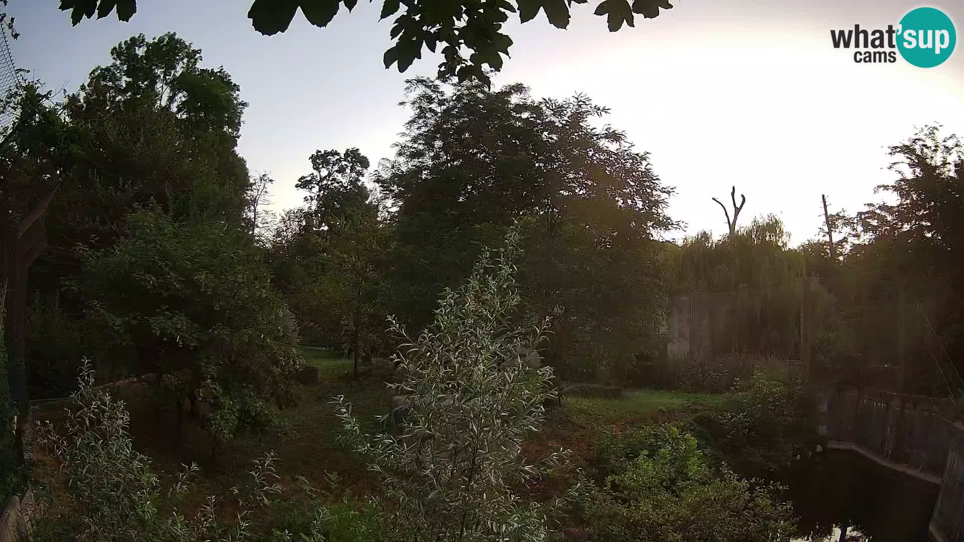 Zoo Zagreb – Leoni