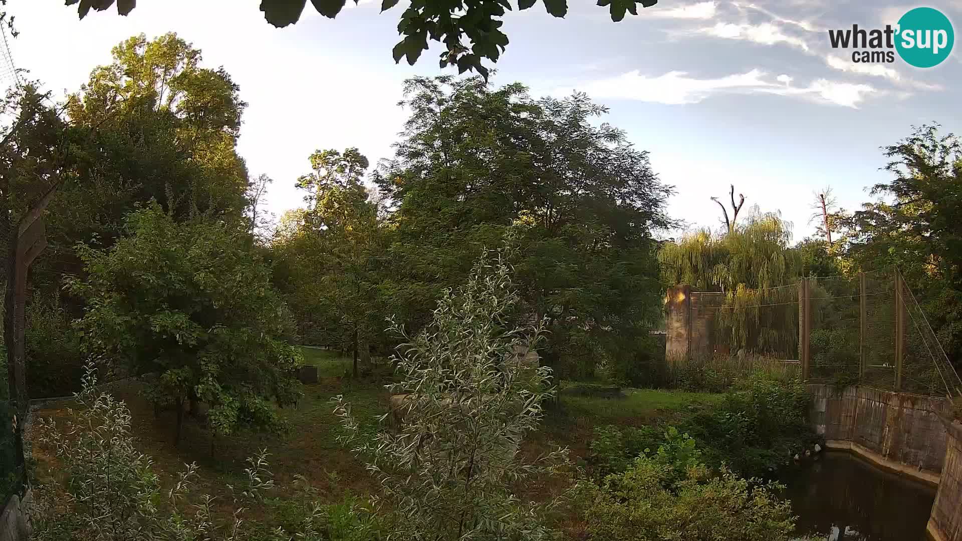 Zoo Zagreb – Lavovi