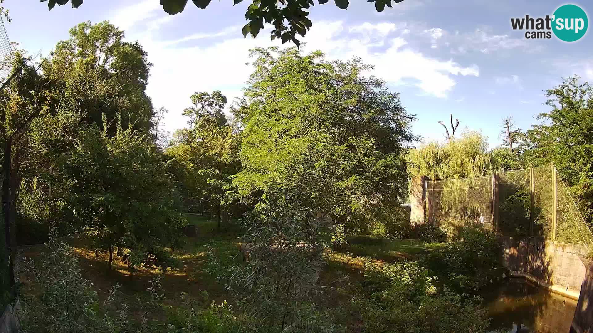 Spletna kamera Zoo Zagreb – Levi