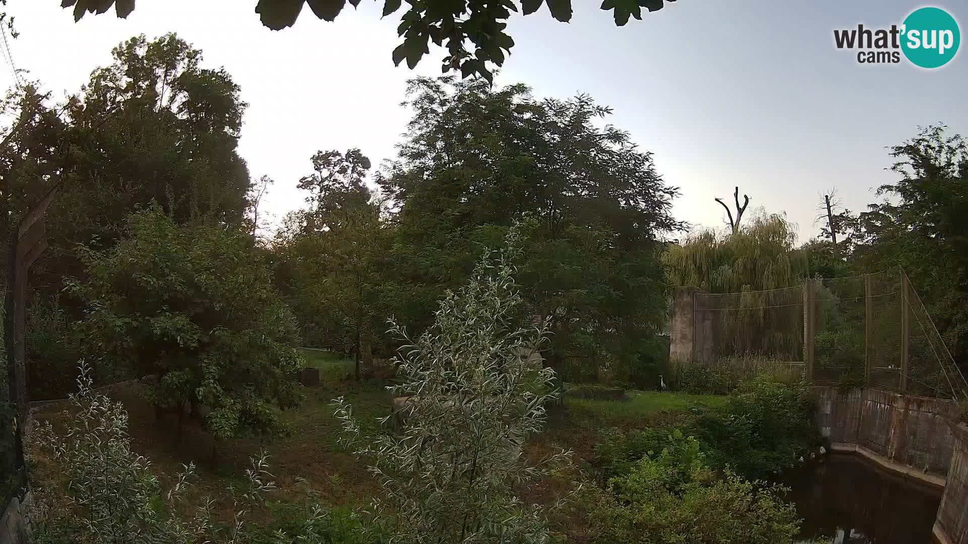 Zoo Zagreb – Löwen