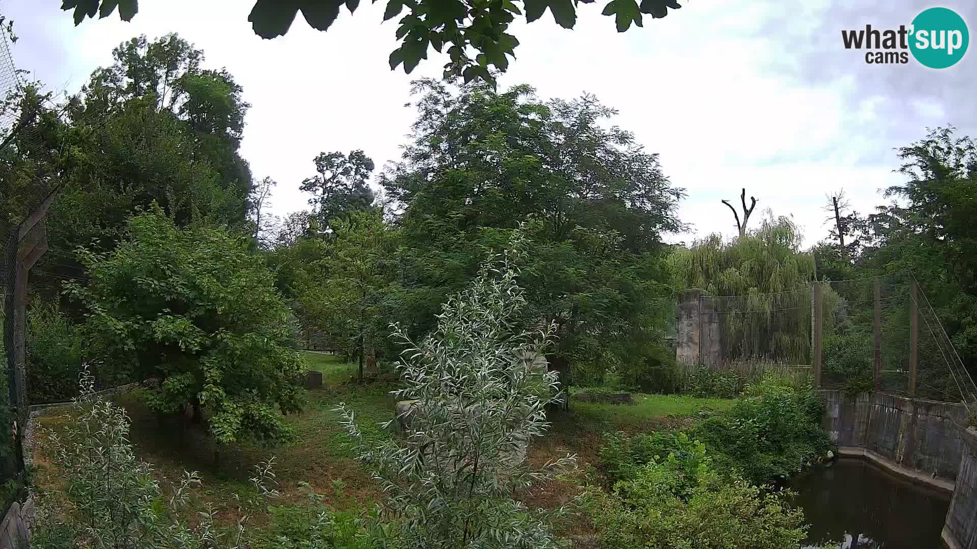 Zoo Zagreb – Leoni