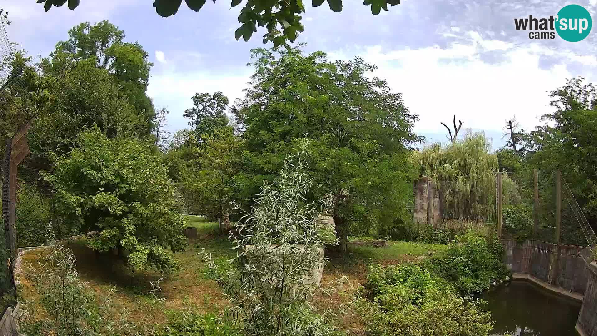 Zoo Zagreb – Löwen