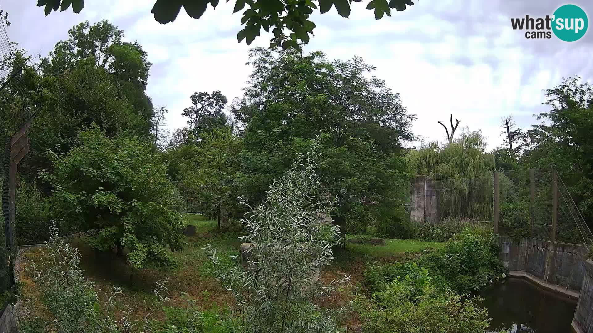 Zoo Zagreb – Leoni