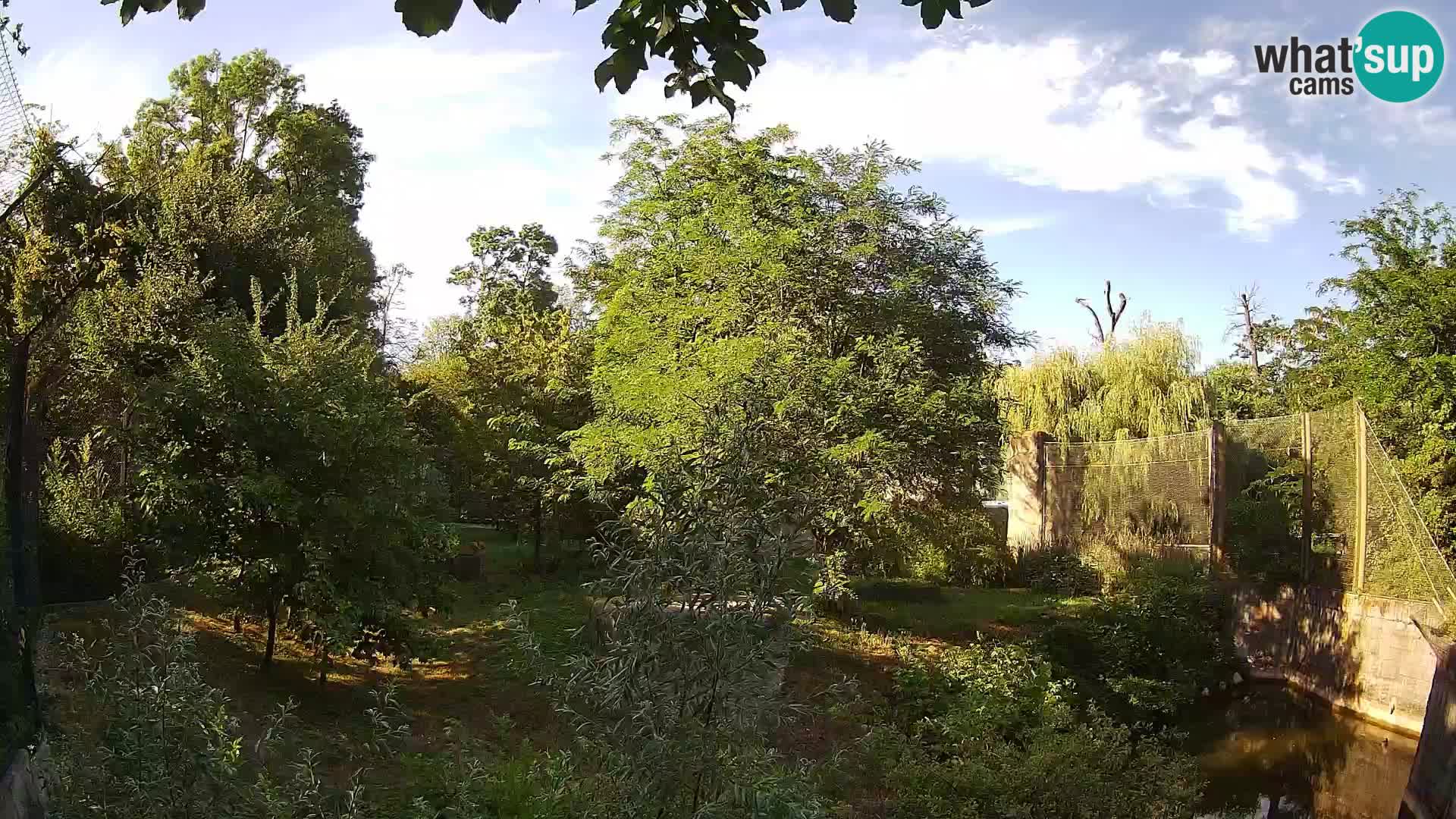 Zoo Zagreb – Leoni