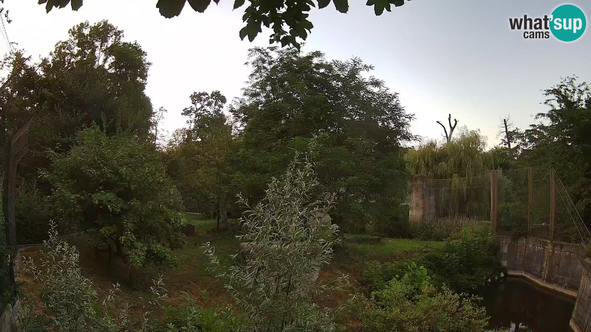 Spletna kamera Zoo Zagreb – Levi