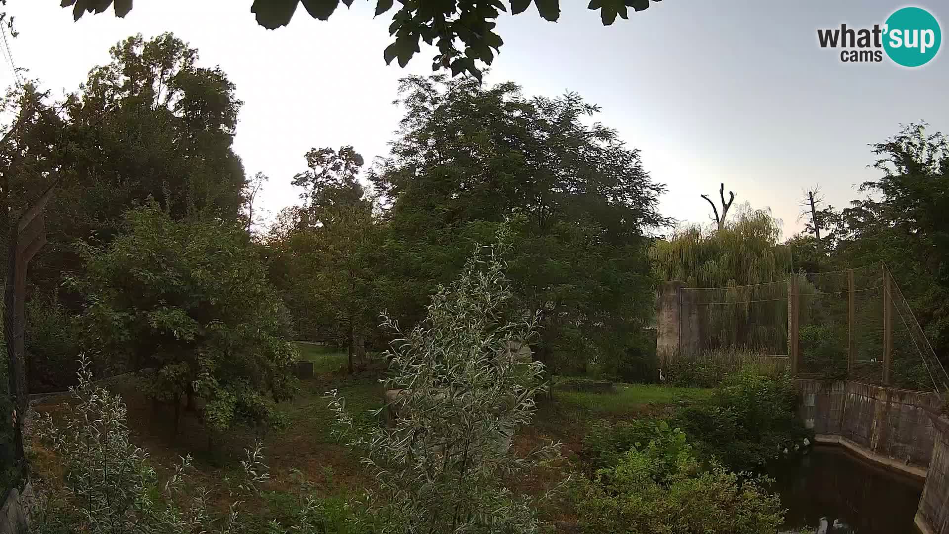 Zoo Zagreb – Leones