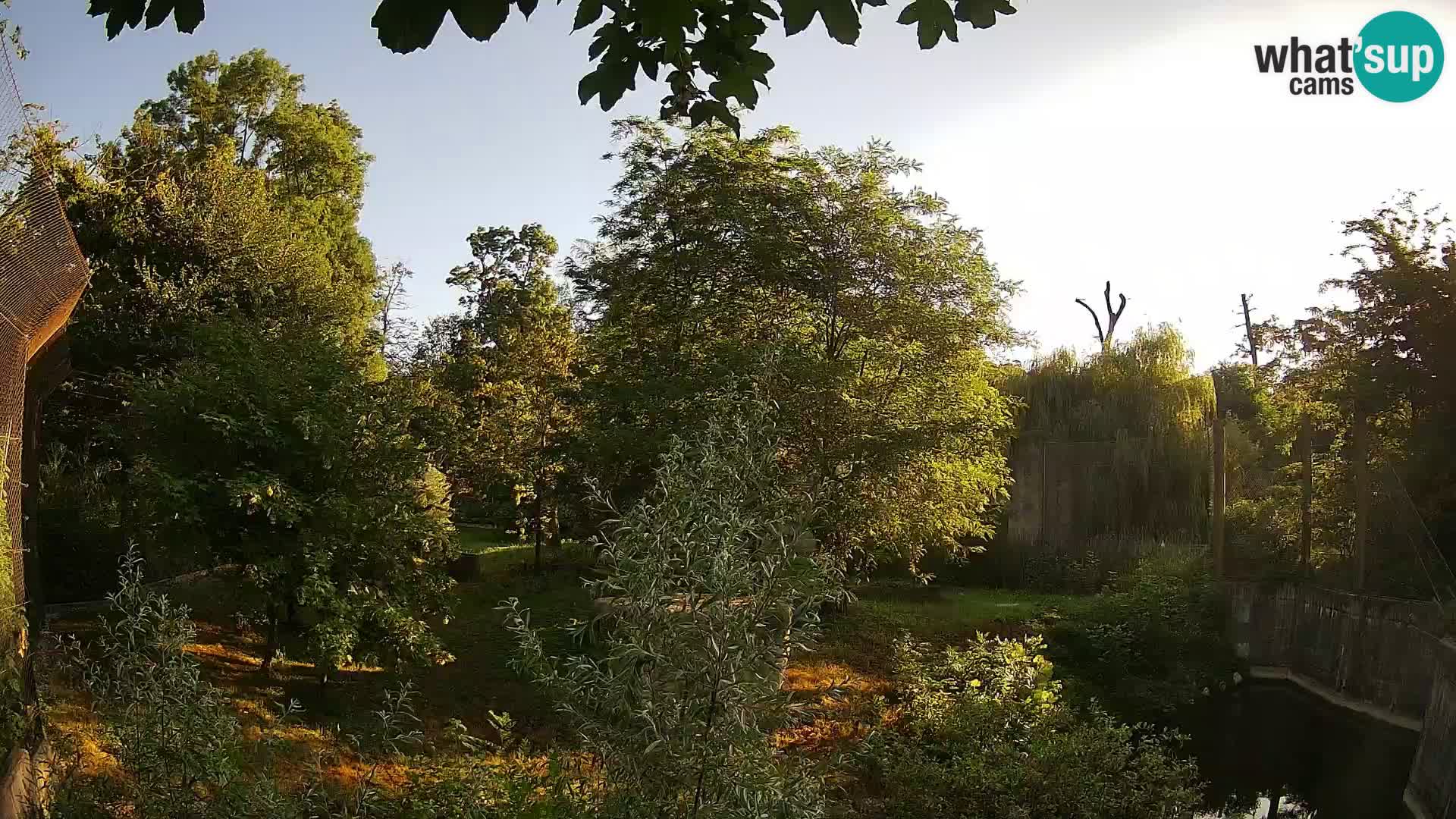 Spletna kamera Zoo Zagreb – Levi