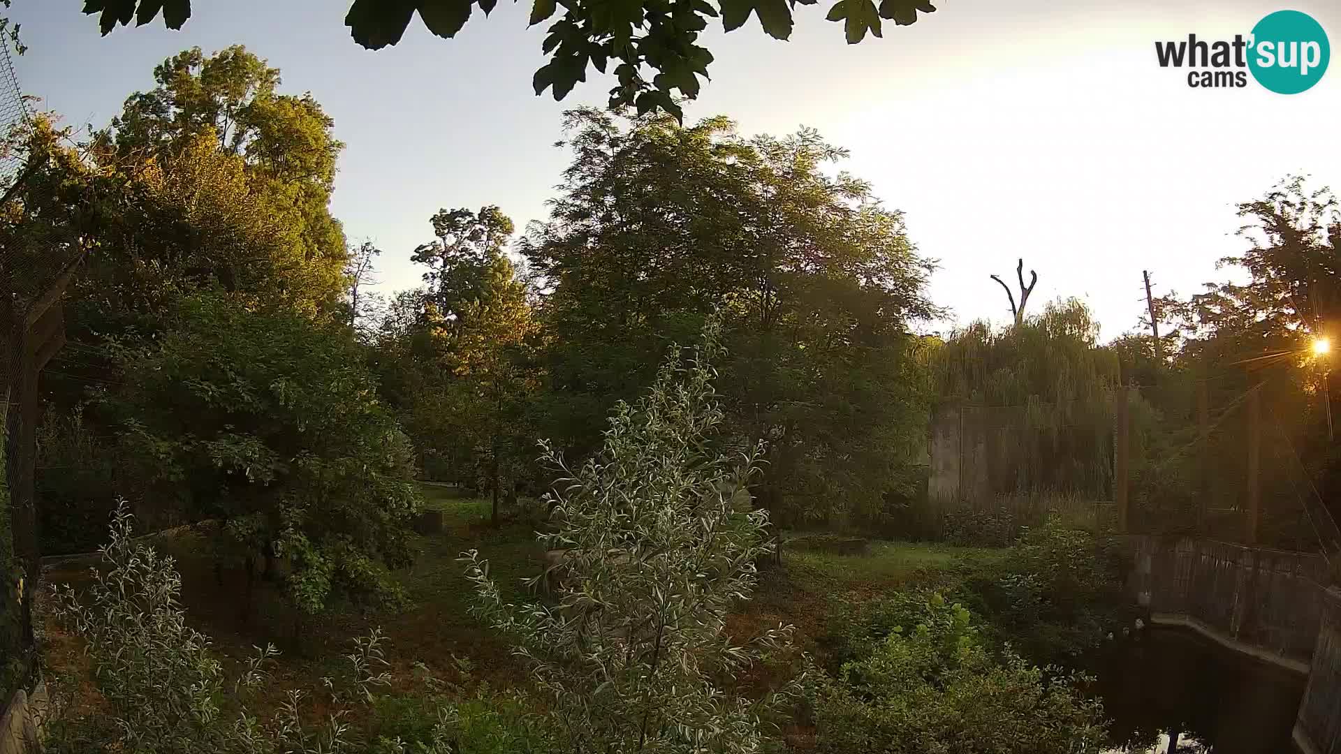 Zoo Zagreb – Leoni