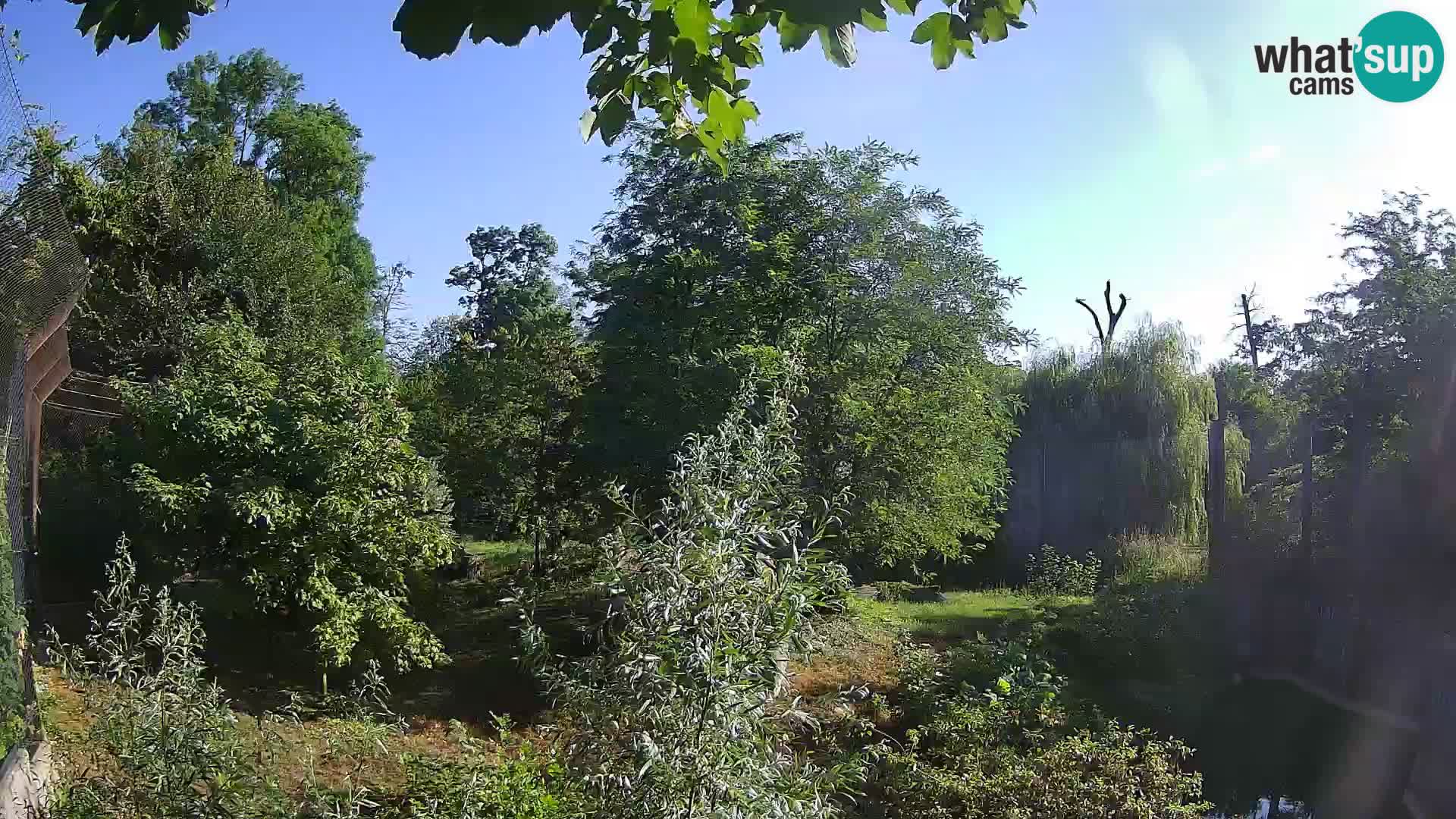 Zoo Zagreb – Leoni