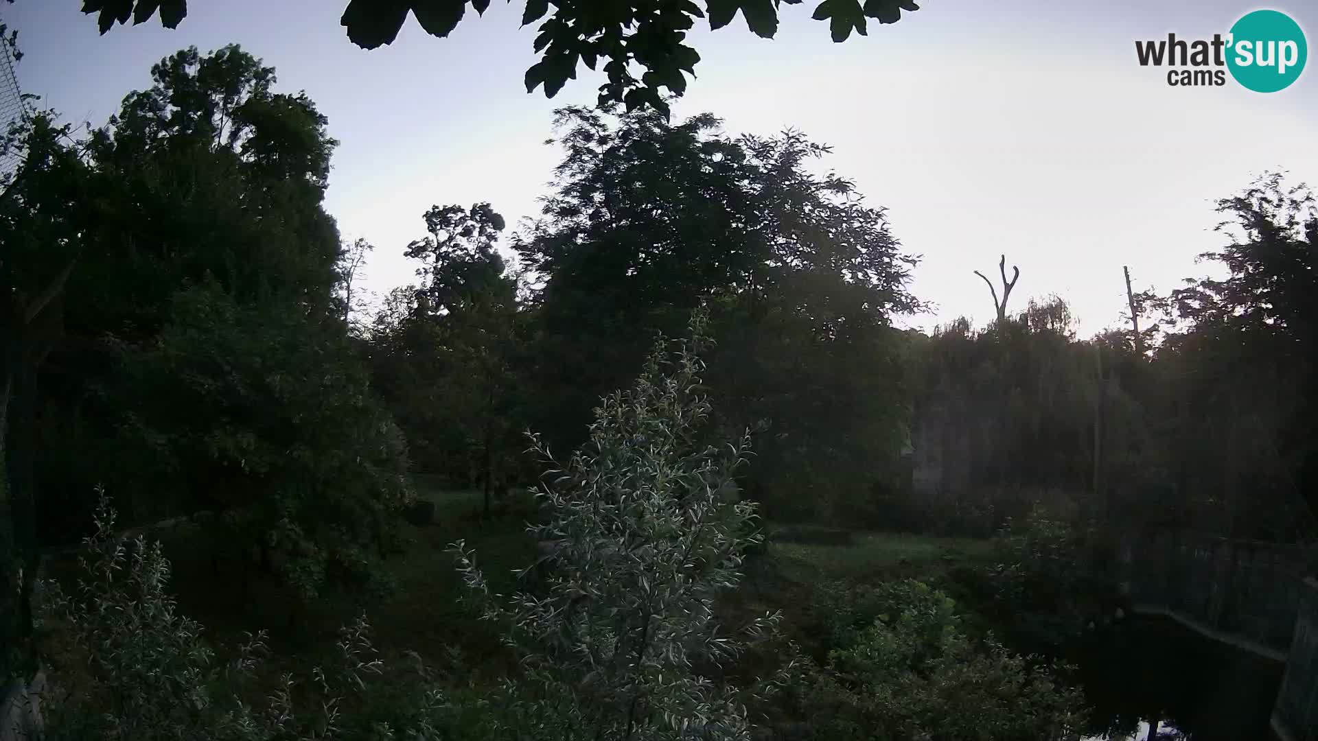Zoo Zagreb – Löwen