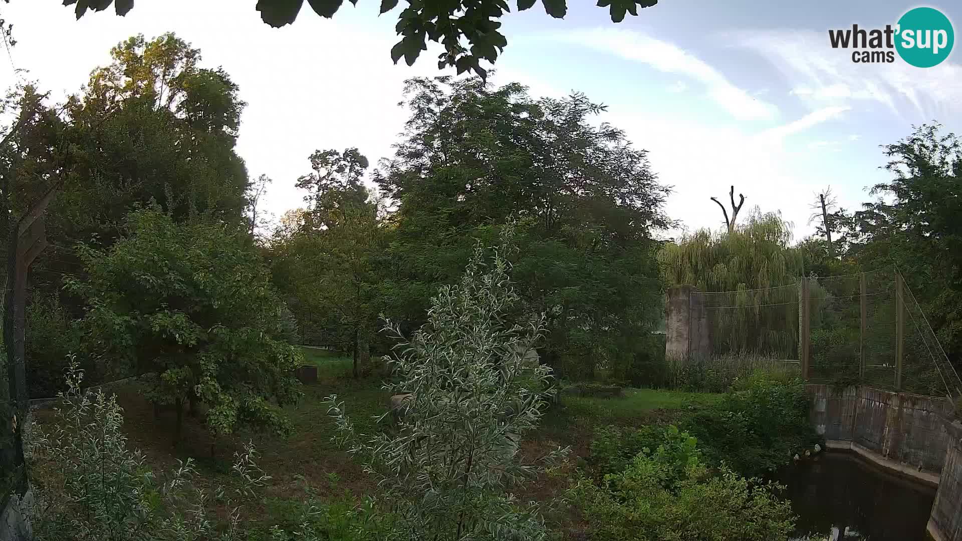 Zoo Zagreb – Lavovi