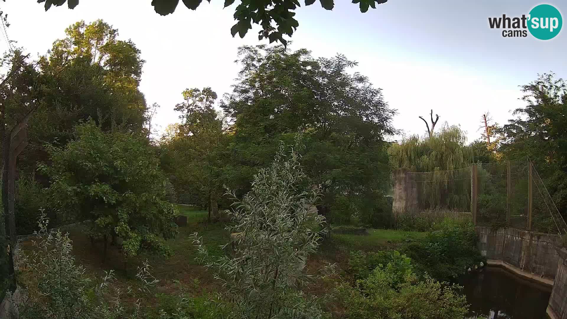 Zoo Zagreb – Löwen