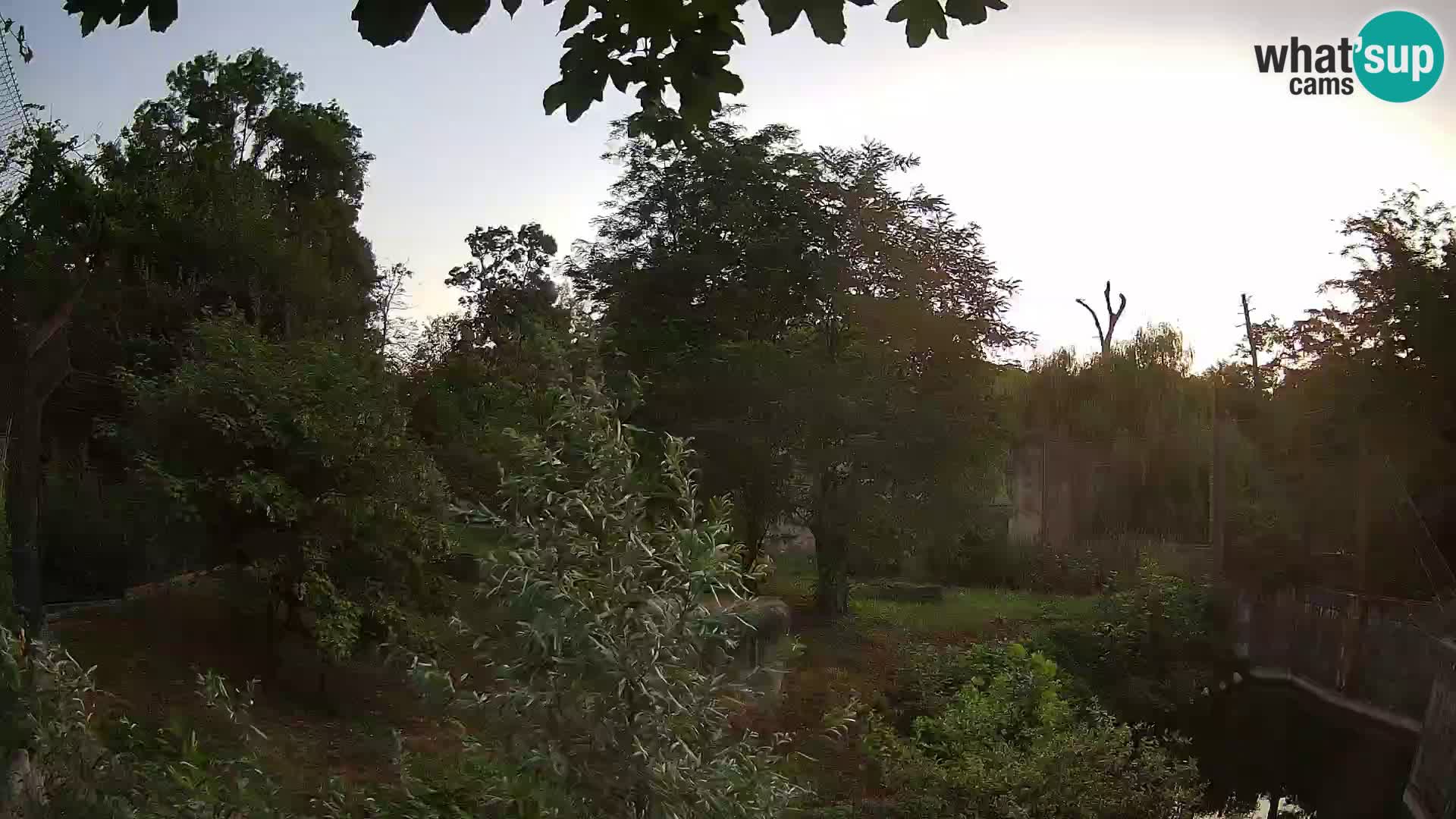 Zoo Zagreb – Löwen