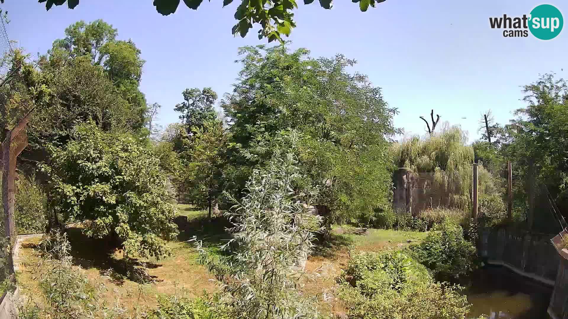 Zoo Zagreb – Leoni