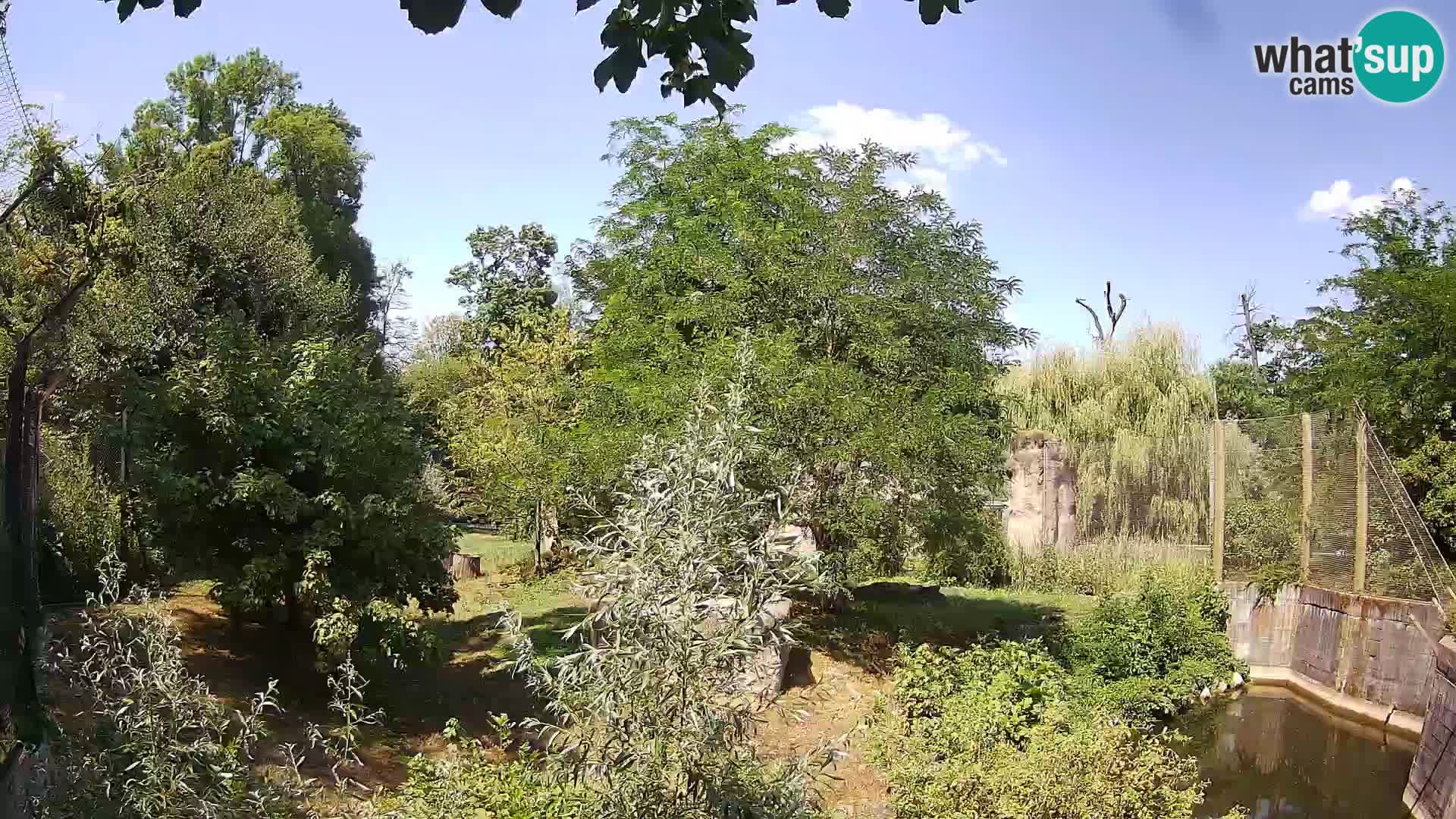 Zoo Zagreb – Leoni