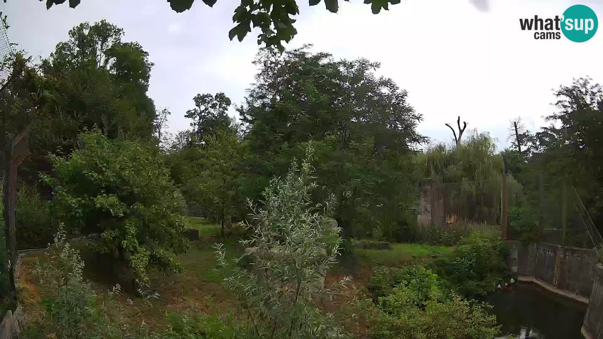Zoo Zagreb – Leoni