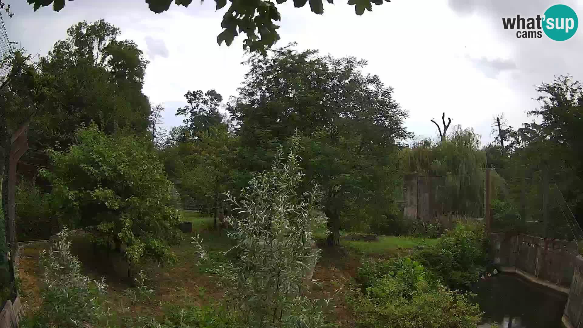 Zoo Zagreb – Leoni